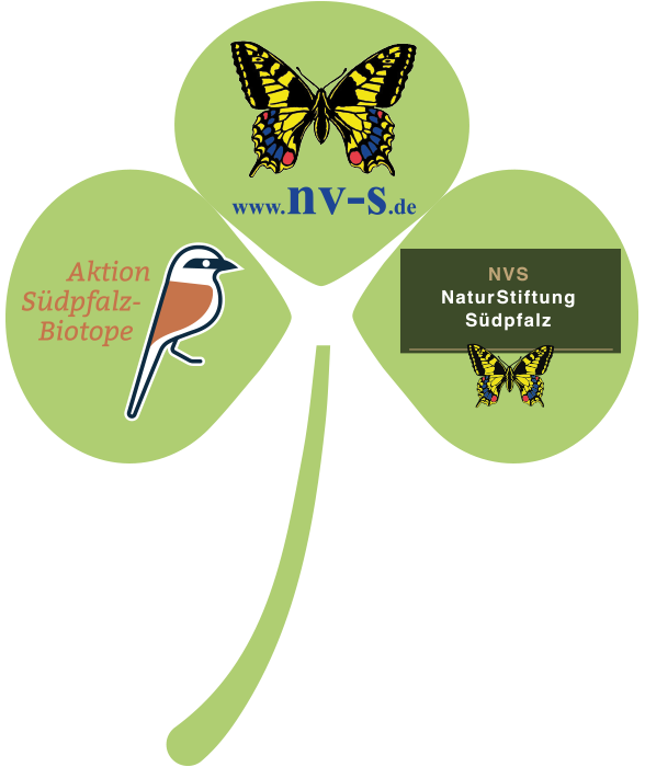 Logo NVS-Gruppe